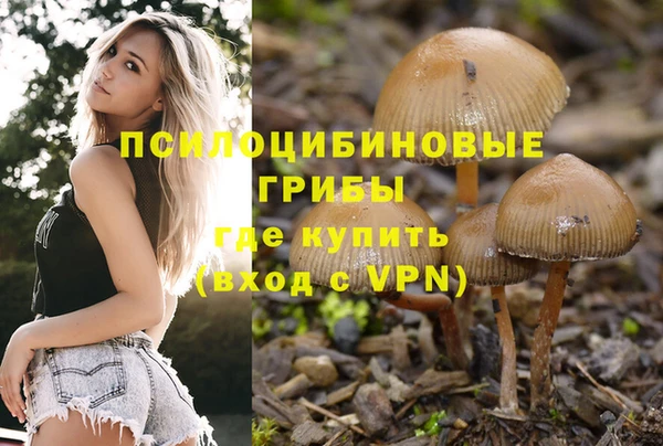 мяу мяу мука Белоозёрский