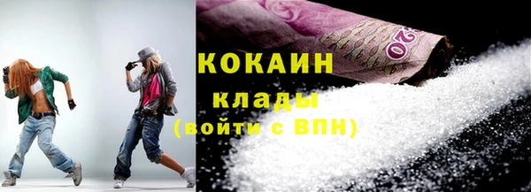 твердый Бородино