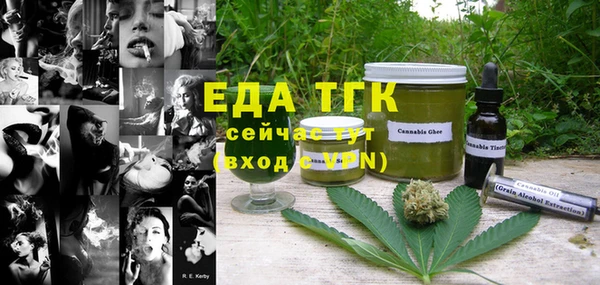 spice Богородицк