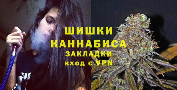 твердый Бородино