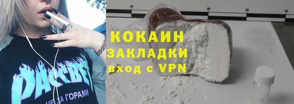 твердый Бородино