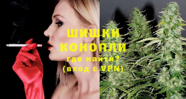 spice Богородицк