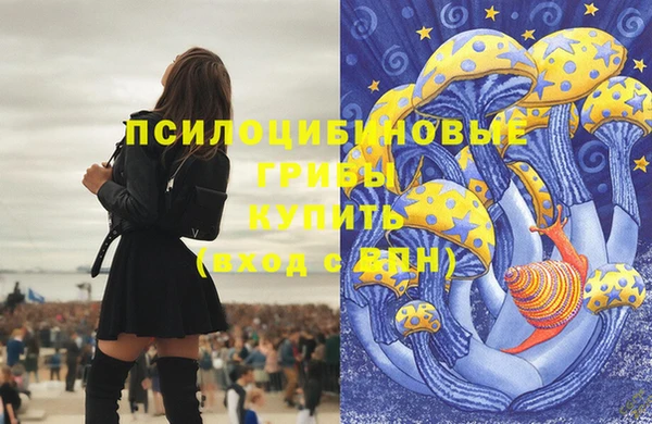 spice Богородицк